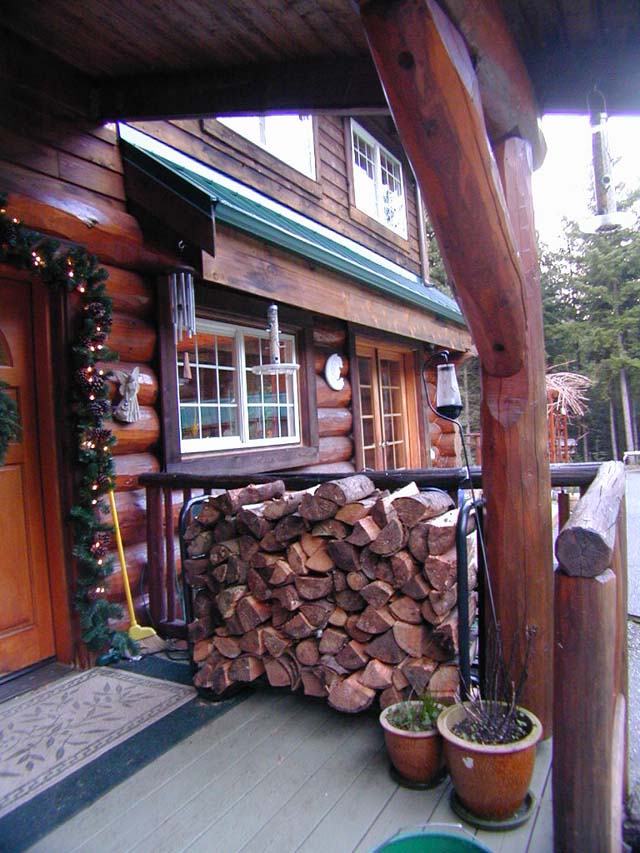 Son's Cabin 06