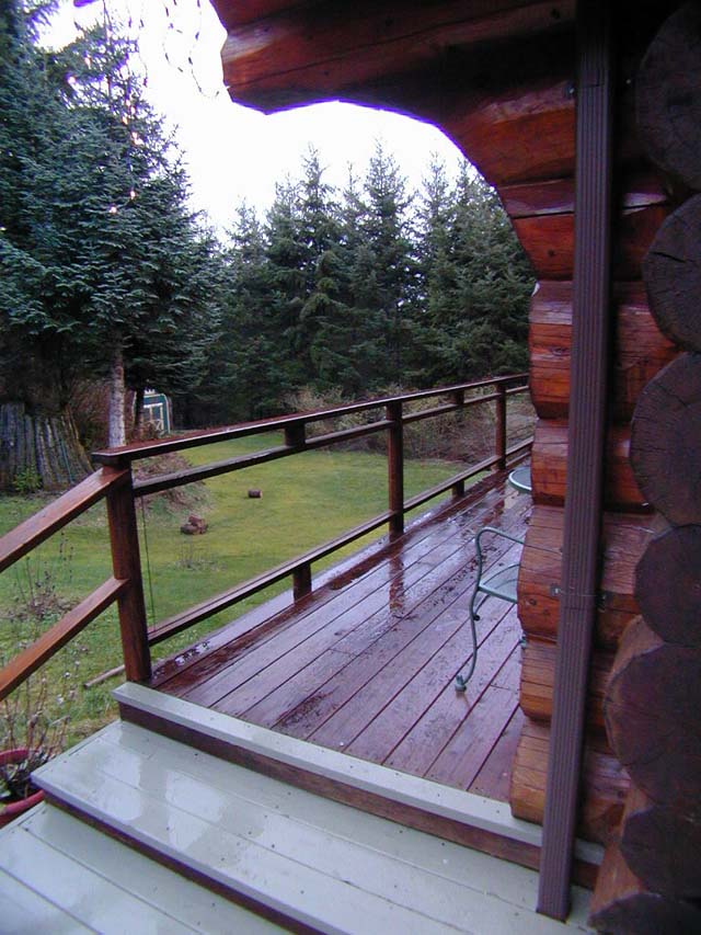 Son's Cabin 08