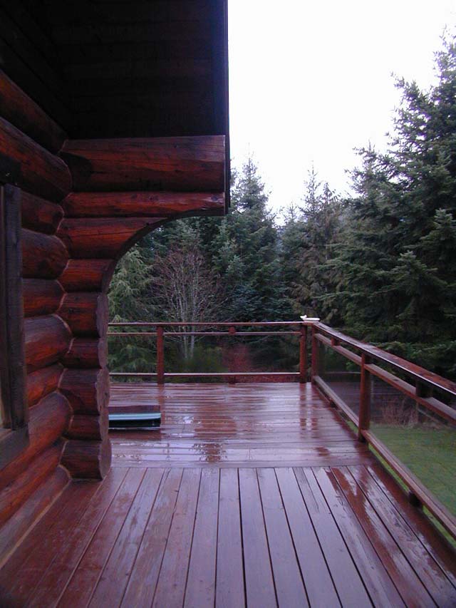 Son's Cabin 11