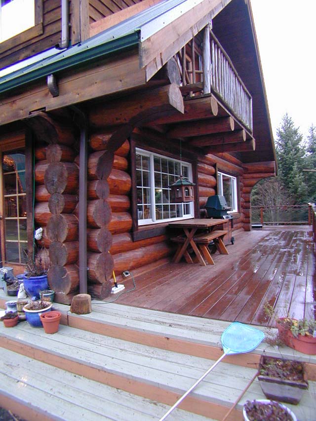 Son's Cabin 15