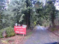 Main House 38