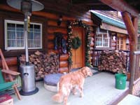 Son's Cabin 05