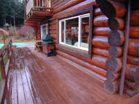 Son's Cabin 10