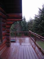 Son's Cabin 11