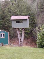 Treehouse 01