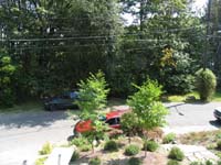 IMG_2010