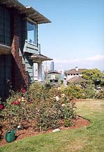 IMG_0885