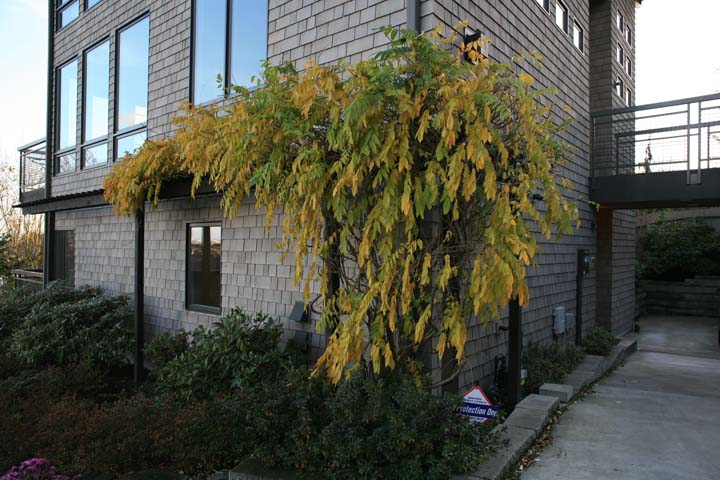 1046b_Guest_03