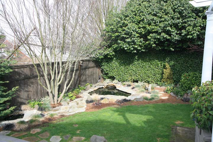 Bckyard_02