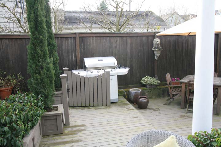 Bckyard_03