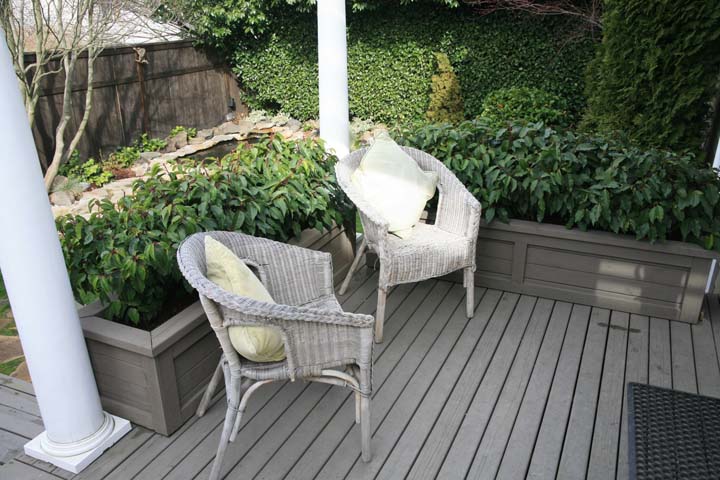 Bckyard_05
