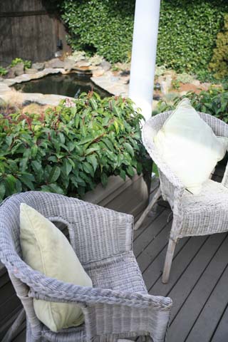 Bckyard_07