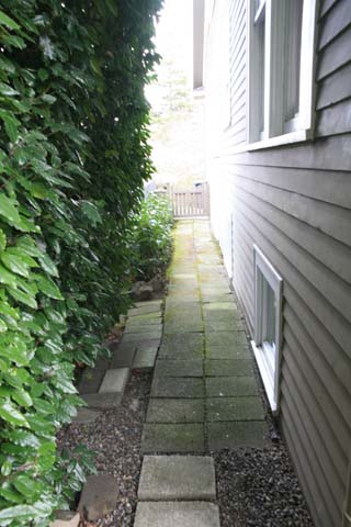 Bckyard_11