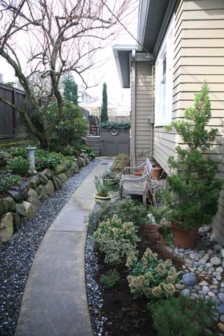 Bckyard_23