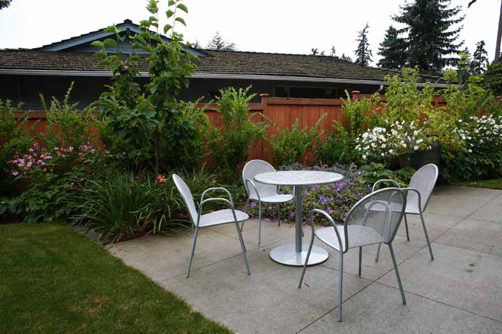 O_Backyard_50