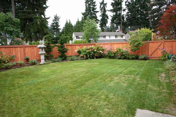 O_Backyard_53