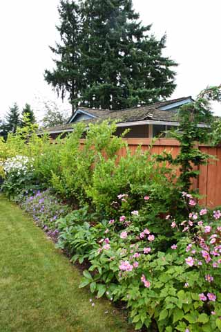 O_Backyard_57