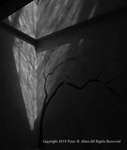 3065_106